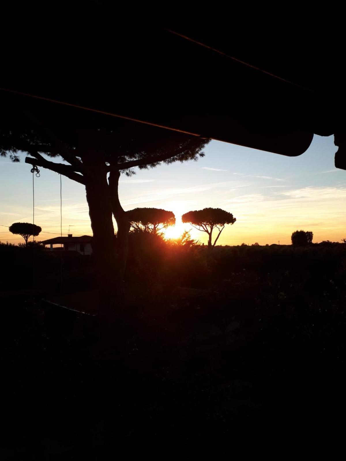 Podere Serena Castagneto Carducci Exterior foto